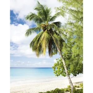 Флизелиновые обои Smart ART 47269 Paradise Island, 212×270 cm