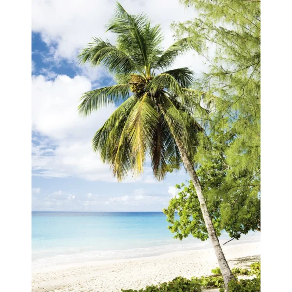 Fliistapeet Smart ART 47269 Paradise Island, 212×270 cm