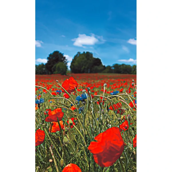 Fliistapeet Smart ART 47273 Poppy Field