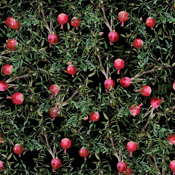 Tapeet Fun House - Pomegranates