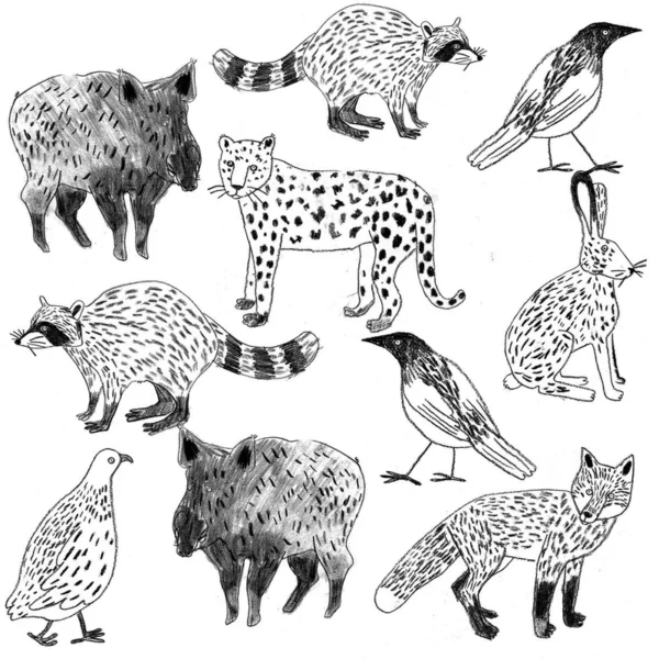 Tapeet Fun House - Little animals