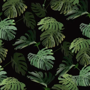 Обои Fun House - Monstera