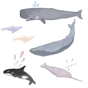 Tapeet Fun House - Whale