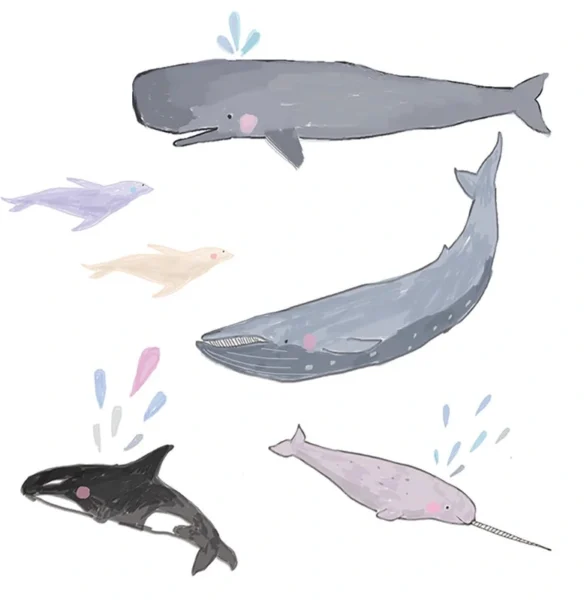 Tapeet Fun House - Whale