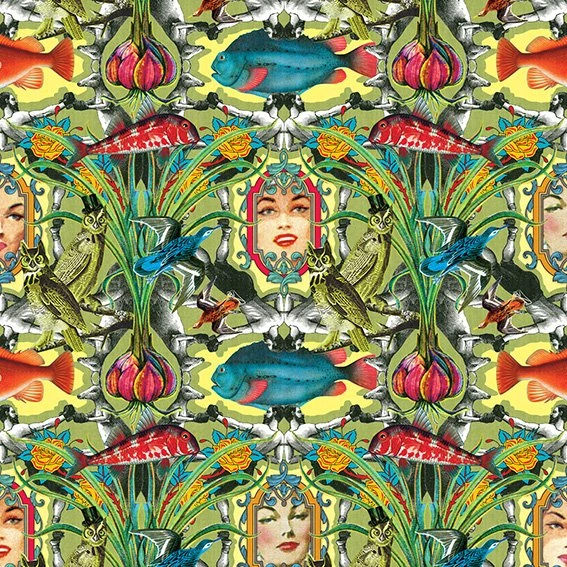 Tapeet Fun House - Belvedere