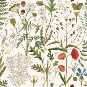 Обои Fun House - Grass