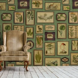 Tapeet Fun House - Cabinet of curiosities