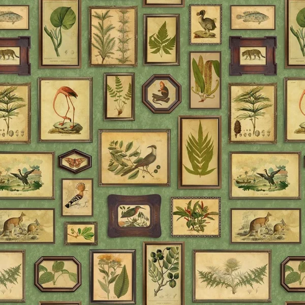 Tapeet Fun House - Cabinet of curiosities