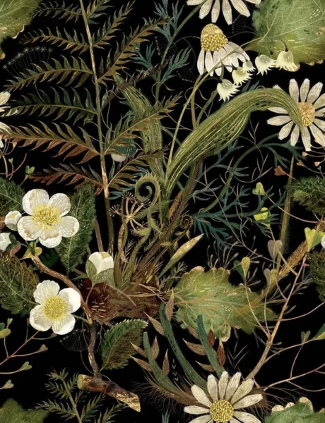 Tapeet Fun House - Ferns