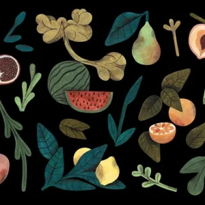 Tapeet Fun House - Fruit anatomy