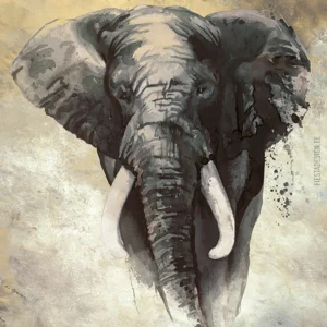 Tapeet Marburg Smart Art 33098 Elephant