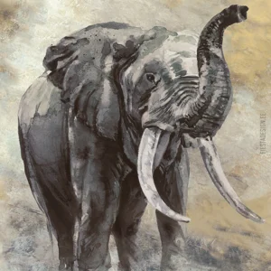Tapeet Marburg Smart Art 33099 Elephant