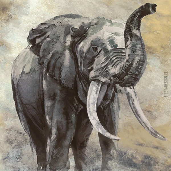 Tapeet Marburg Smart Art 33099 Elephant