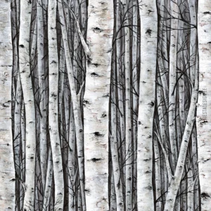 Tapeet Marburg Smart Art 35395 Birch Forest