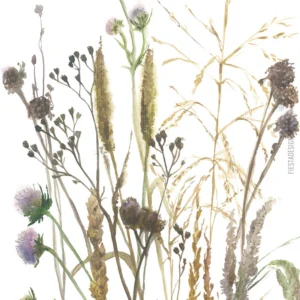 Tapeet Marburg Smart Art 35799 Delicate Grasses
