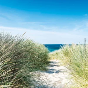 Обои Marburg Smart Art 42014 Marram Grass