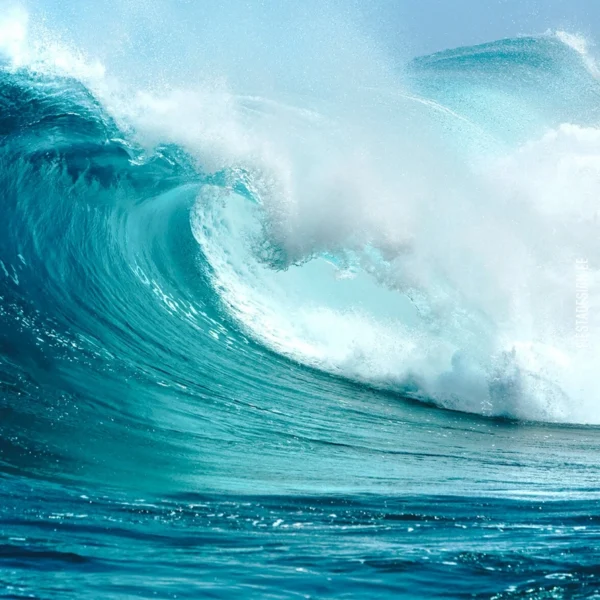 Обои Marburg Smart Art 46614 Wave Power