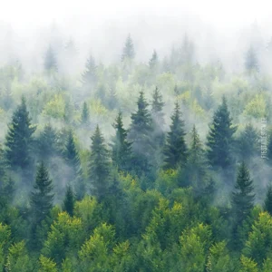Tapeet Marburg Smart Art 96453 Forest Fog