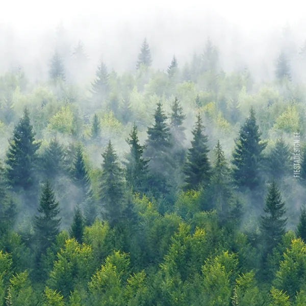 Tapeet Marburg Smart Art 96453 Forest Fog