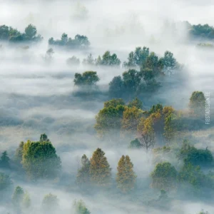 Tapeet Marburg Smart Art 96467 Foggy Landscape