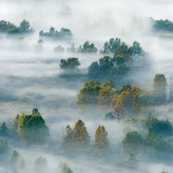 Обои Marburg Smart Art 96467 Foggy Landscape