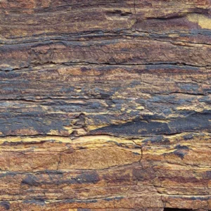 Fototapeet Komar SHX7-182 African Wall