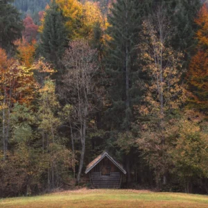 Фотообои Komar SHX7-190 Autumn Cabin
