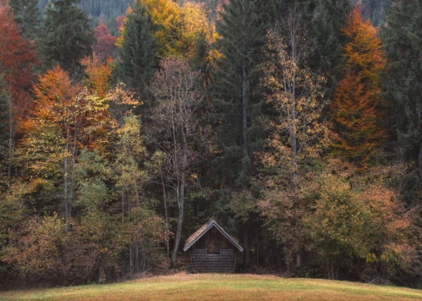 Фотообои Komar SHX7-190 Autumn Cabin