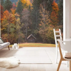 Фотообои Komar SHX7-190 Autumn Cabin