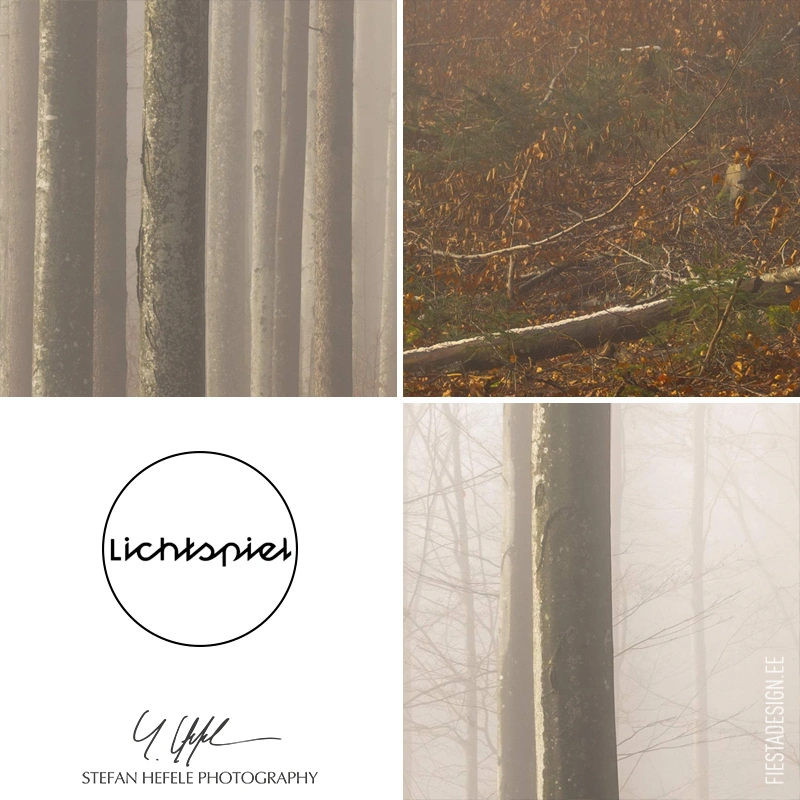 Фотообои Komar SHX7-192 Misty Forest Serenity