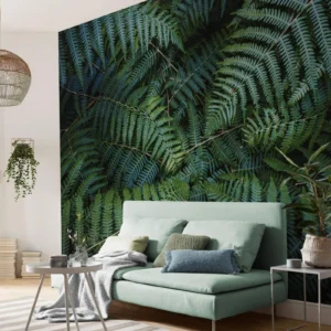 Fototapeet Komar SHX7-203 Fern Canopy