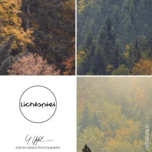 Fototapeet Komar SHX7-225 Misty Forest Elegance